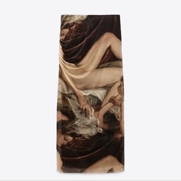 ZARA BLOGGERS FAV PRINTED TULLE SKIRT - Picture 7 of 7